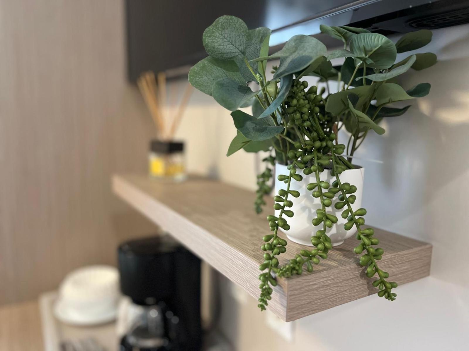 哥斯达黎加北精品酒店 迈阿密海滩 外观 照片